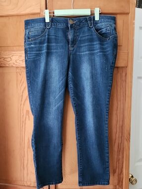 Democracy Ab'solution Skinny Jeans Blue 16W